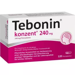TEBONIN konzent 240 mg filmovertrukne tabletter, 120 stk