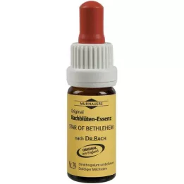 BACHBLÜTEN Murnauer Betlehemsstjerne-dråber, 20 ml