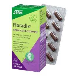 FLORADIX Jern plus B-vitaminer kapsler, 40 stk