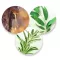 Instructions for use for Ilon Protect salve, 100 ml - 2