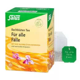 BACHBLÜTEN TEE Til alle tilfælde organiske Salus filtertabs, 15 stk