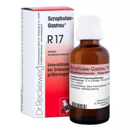 SCROPHULAE-Gastreu R17-blanding, 50 ml