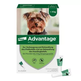 ADVANTAGE 40 opløsning til hunde op til 4 kg, 4 stk