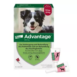 ADVANTAGE 250 opløsning til hunde 10-25 kg, 4 stk