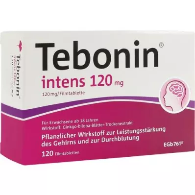 TEBONIN intens 120 mg filmovertrukne tabletter, 120 stk