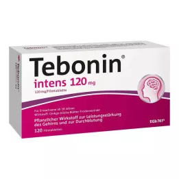 TEBONIN intens 120 mg filmovertrukne tabletter, 120 stk