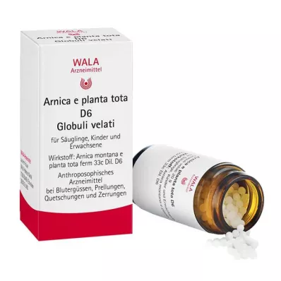 Arnica E Planta tota D 6 kugler, 20 g