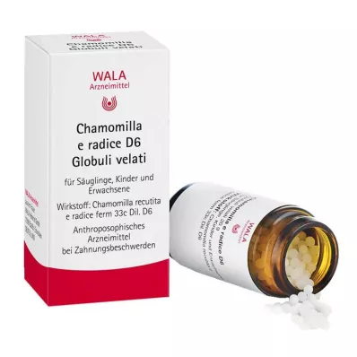 CHAMOMILLA E radice D 6 kugler, 20 g