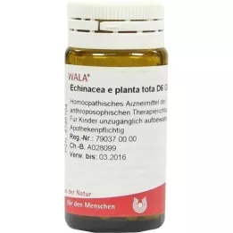 ECHINACEA E planta tota D 6 kugler, 20 g