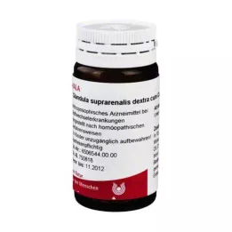 GLANDULA SUPRARENALIS dextra cum Cupro-kugler, 20 g