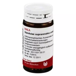 GLANDULAE SUPRARENALES komp. kugler, 20 g