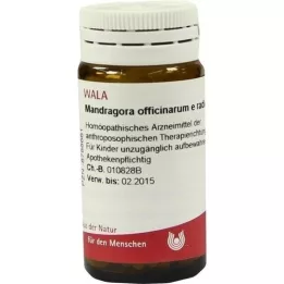 MANDRAGORA OFFICINARIUM e radice D 6 kugler, 20 g