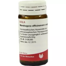 MANDRAGORA OFFICINARIUM e radice D 6 kugler, 20 g