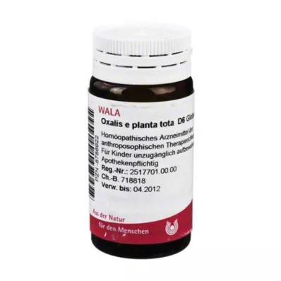 Oxalis E Planta Tota D 6 kugler, 20 g
