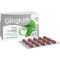 GINGIUM 40 mg filmovertrukne tabletter, 120 stk