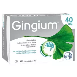 GINGIUM 40 mg filmovertrukne tabletter, 120 stk