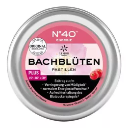 ENERGIE BACHBLÜTENPASTILLEN ifølge Dr. Bach, 50 g