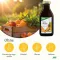 Multivitamin energetisk Salus, 500 ml