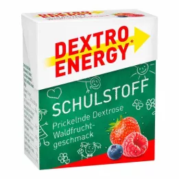 DEXTRO ENERGY Schulstoff skovfrugttablet, 50 g