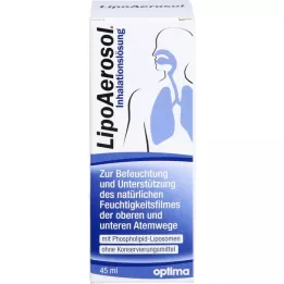 LIPOAEROSOL liposomal inhalationsopløsning, 45 ml