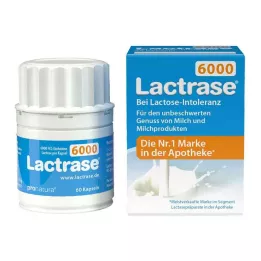LACTRASE 6.000 FCC Kapsler, 60 stk