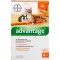 ADVANTAGE 40 mg opløsning til små katte/små prydkaniner, 4X0,4 ml