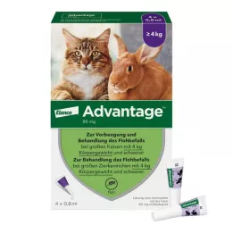 ADVANTAGE 80 mg til store katte og store prydkaniner, 4X0,8 ml