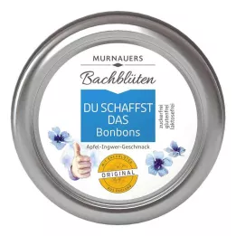 BACHBLÜTEN Murnauers You can do it-slik, 50 g