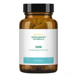 SAM S-ADENOSYLMETHIONIN Kapsler, 60 Kapsler