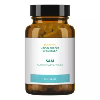Sam S-adenosylmethionin kapsler (60 stk.)