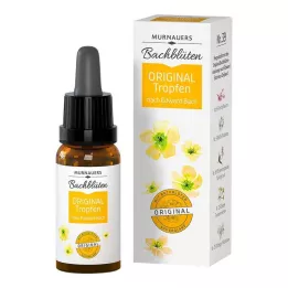 BACHBLÜTEN Murnauers originale dråber, 10 ml