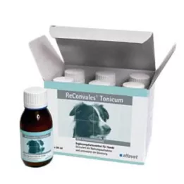RECONVALES Tonic til hunde, 6X90 ml