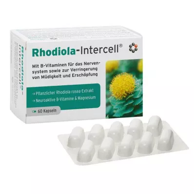 Rhodiola Intercell kapsler, 60 stk