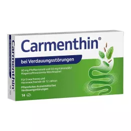 CARMENTHIN til fordøjelsesbesvær msr.soft kapsler, 14 stk