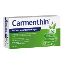 CARMENTHIN til fordøjelsesbesvær msr.soft kapsler, 42 stk