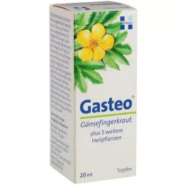 GASTEO Orale dråber, 20 ml