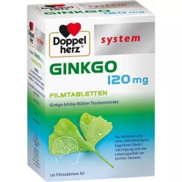 DOPPELHERZ Ginkgo 120 mg system filmovertrukne tabletter, 120 stk
