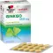 DOPPELHERZ Ginkgo 120 mg system filmovertrukne tabletter, 120 stk