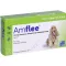 AMFLEE 134 mg spot-on opløsning til mellemstore hunde 10-20 kg, 3 stk