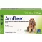 AMFLEE 134 mg spot-on opløsning til mellemstore hunde 10-20 kg, 3 stk