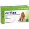 AMFLEE 134 mg spot-on opløsning til mellemstore hunde 10-20 kg, 3 stk