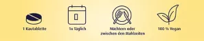 Instructions for use for Vitamin B12 500 µg sugetabletter, 180 tabletter - 2