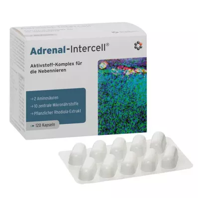 Binyre-Intercell kapsler, 120 stk
