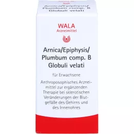 ARNICA/EPIPHYSIS/PLUMBUM comp.B kugler, 20 g