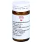 ARNICA/EPIPHYSIS/PLUMBUM comp.B kugler, 20 g