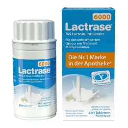LACTRASE 6.000 FCC Tbl.click dispenser refill pack, 480 stk