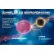 THOMAPYRIN TENSION DUO 400 mg/100 mg filmovertrukne tabletter, 12 stk