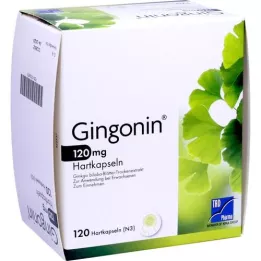 GINGONIN 120 mg hårde kapsler, 120 stk