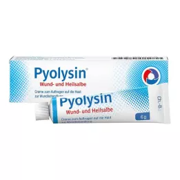 PYOLYSIN Sår- og helingssalve, 6 g