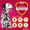 Advantix spot-on opløsning til hunde 25-40 kg, 4 x 4,0 ml